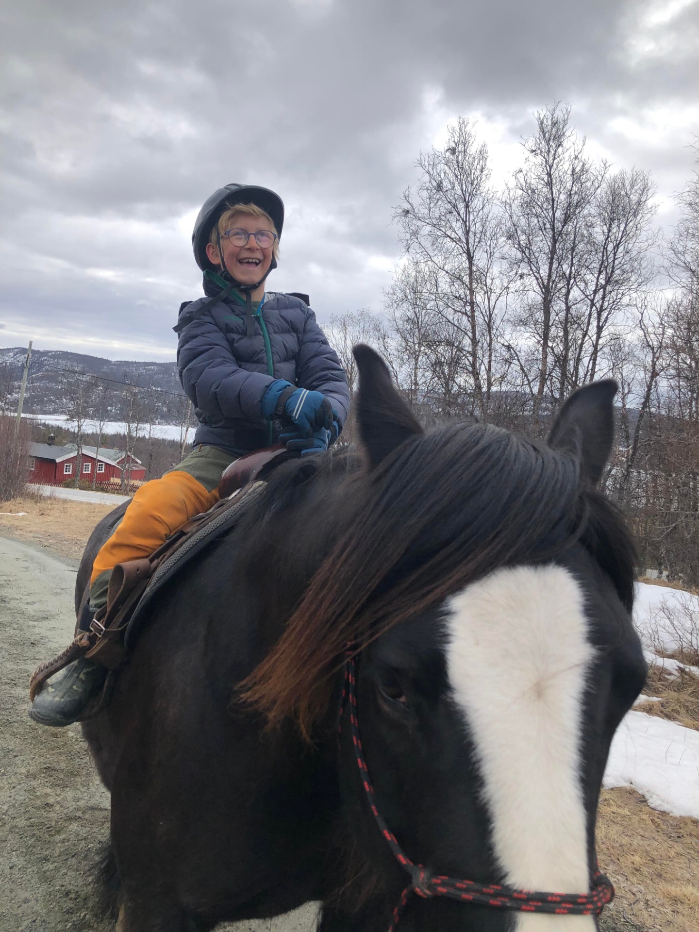 Faget: matematikk - balanse og likevekt. Samspillet mellom hest og elev er med gjørende for forståelse og læring.